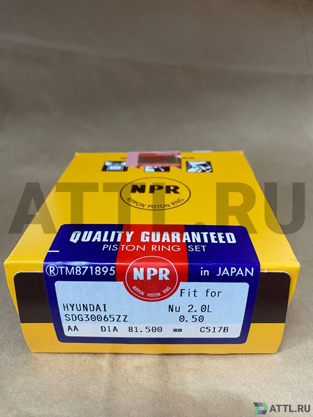 NPR SDG30065ZZ 050 Поршневые кольца 2K0