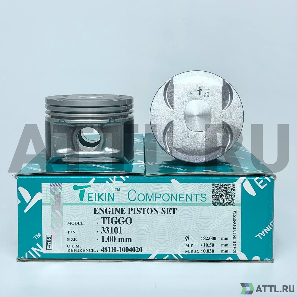 TEIKIN 33101 100 Комплект поршней TIGGO d81+1.00 1,2-1,5-2,5