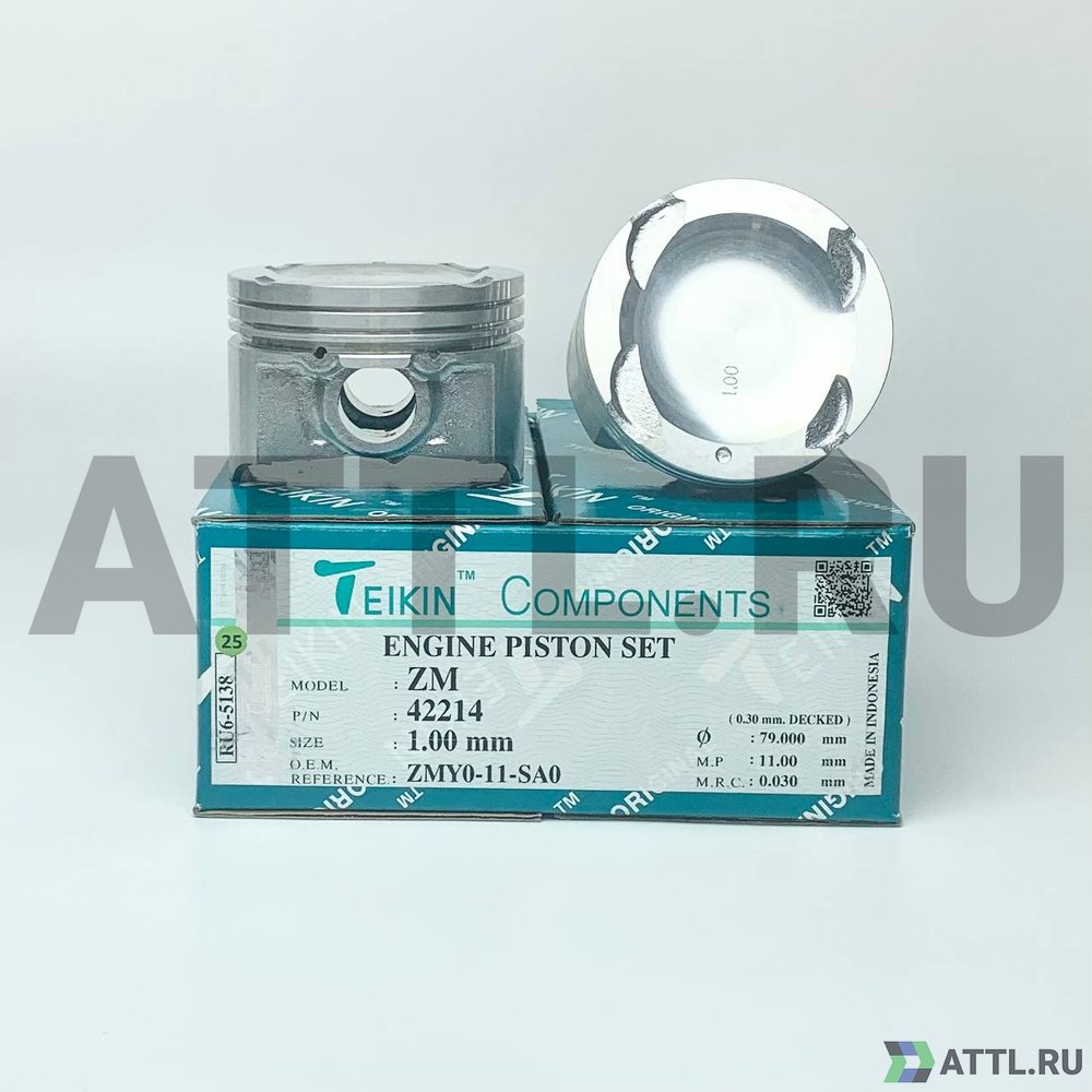 TEIKIN 42214 100 Комплект поршней ZM